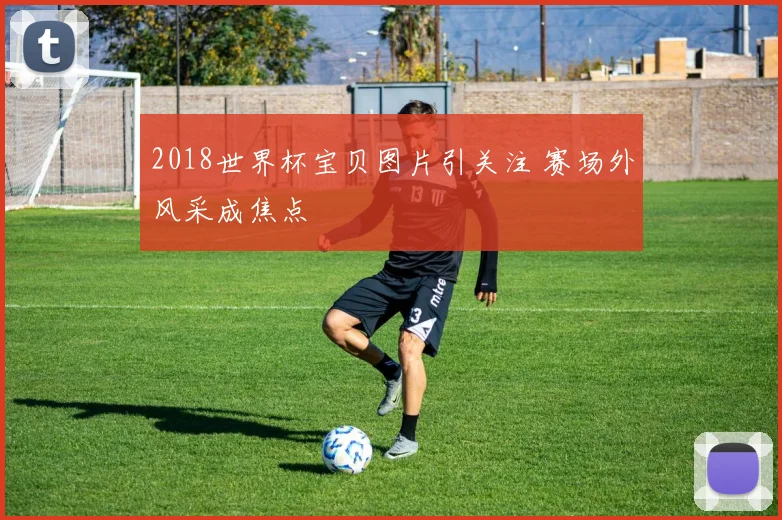 2018世界杯宝贝图片引关注 赛场外风采成焦点